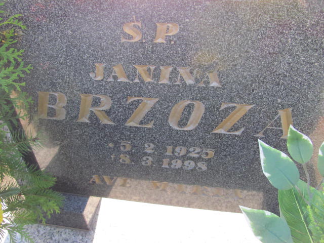 Mikołaj Brzoza 1910 Góra - Grobonet - Wyszukiwarka osób pochowanych