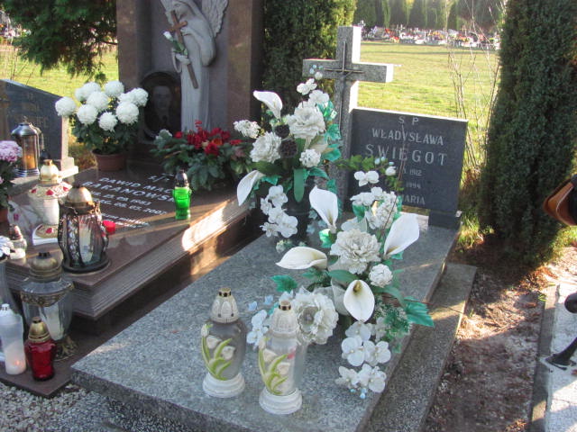 Grób Władysława Świegot